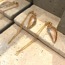 Lade das Bild in den Galerie-Viewer, ACBY - 3D CLAW earrings with chain