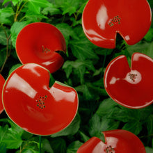 Lade das Bild in den Galerie-Viewer, Ge03 - Mohnblume aus Porzellan