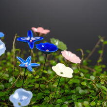 Lade das Bild in den Galerie-Viewer, Ge03 - Wiesenblume bunt groß aus Porzellan