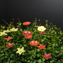 Lade das Bild in den Galerie-Viewer, Ge03 - Wiesenblume bunt groß aus Porzellan