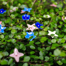 Lade das Bild in den Galerie-Viewer, Ge03 - Wiesenblume bunt klein aus Porzellan