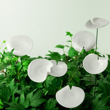 Lade das Bild in den Galerie-Viewer, Ge03 - Mohnblume aus Porzellan
