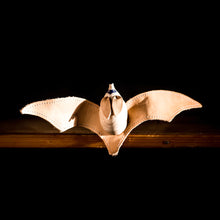 Lade das Bild in den Galerie-Viewer, EPERFA - Big-eared Bat - Wooden toys
